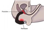 prostate-massager-diagram